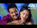 Nuvvu Muttukunte 4k Video Song Yamadonga Jr NTR Priyamani Mamata Mohandas M M Keeravani