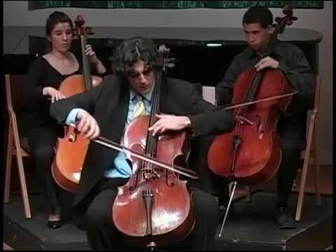 Haydn Concerto Live from the Heifetz Institute - Full performance in description 👇