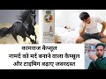 Kaamraj Capsule Use Kamraj Capsule Dose Kamraj Capsule Side Effects