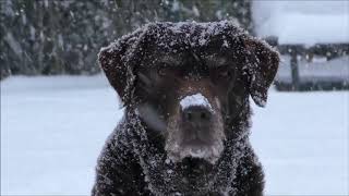 Mylène Farmer Retenir l&#39;eau autrement interviews N°21