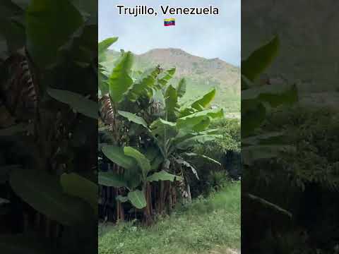 🇻🇪 Real LA PUERTA in seconds, VENEZUELA #virtualtour #lapuerta #trujillo #venezuela