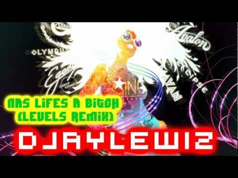 Nas Lifes a Bitch (Levels Remix)