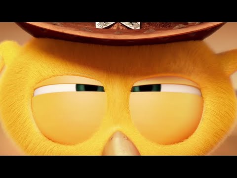 Chicky, apprentice cowboy | Where's Chicky? | Cartoon Collection in English for Kids | New episodes