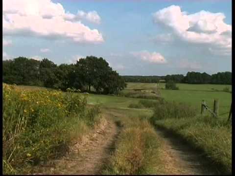 Schulfilm-DVD: LEBENSRAUM BRACHE (Vorschau)