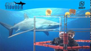 DIA 2 Expo Tiburon232