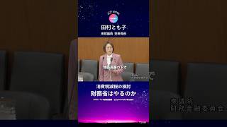財務省は消費税減税の検討やるのか　日本共産党　田村とも子