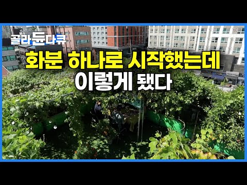 강남 한복판 빌라 옥상에 무슨 일이?ㅣ화분 하나로 시작해서 13년째 옥상 키우는 수상한 남자의 이야기ㅣ한국기행│#골라듄다큐