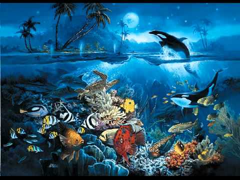 Fridrik Karlsson - Under Sea Paradise (Dream Away)