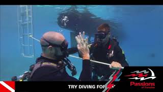 Passions III - Passions Of Paradise Great Barrier Reef Day Tours