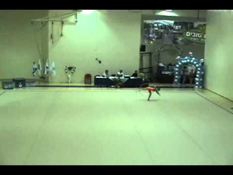 Dana Lisagor - K. Byalik 4.12.2010 - Hoop - 2nd place