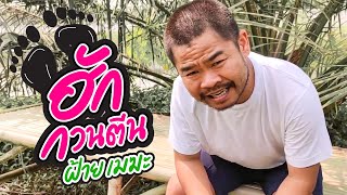 ฮักกวนตีน – ฝ้าย เมฆะ