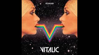 vitalic voyager album completo