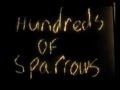 Sparklehorse – Hundreds Of Sparrows (Official Video Remix)