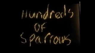 Hundreds Of Sparrows (Official Video Remix)