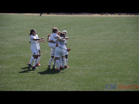 Santos FC 2 x 0 Rio Preto EC - Gols