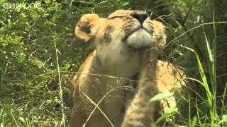 Richard meets camerawoman Sophie Darlington - Planet Earth Live - BBC