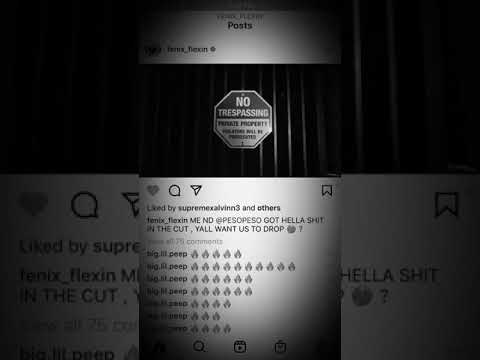 Fenix flexin x peso peso unreleased music video