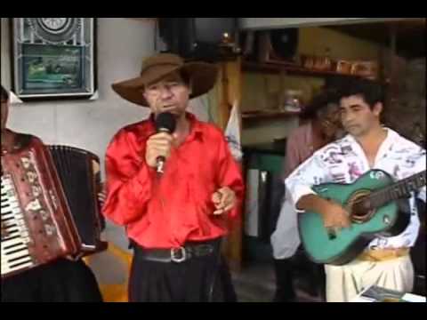 Galo Roxo - Pescoço Sujo etc.