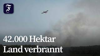 Waldbrand bei Bordeaux eingedämmt