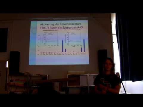 RaumZeitLabor Podcast