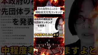 【 さとうさおり 】政府の補助金交付先ランキング発表！トップ10の団体を紹介し、不正利用の可能性なども公認会計士でYoutuberで政治活動家のさとうさおり氏が検証！