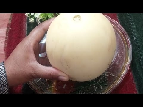 Summer special Cold Muskmelon |Yummy And Delicious|@asfiasfoodchannel1070