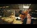 Mocco Genius Feat Alikiba Mchuchu Official Music Video