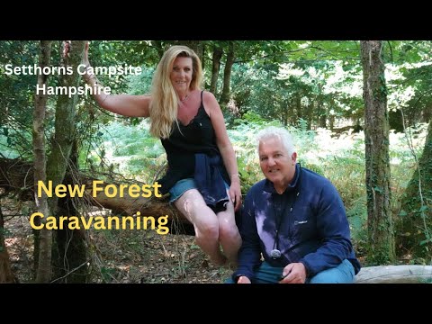 Our favourite site so far.... New Forest Campsite Hampshire