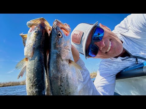 Fishing Tidal Marsh for Sea Trout