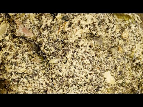 Ndole Cameroon food/Ndole and plantain recipe/ How to cook Cameroon ndole