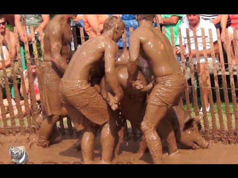 download lagu mp3 mp4 Bishop Animal, download lagu Bishop Animal gratis, unduh video klip Bishop Animal