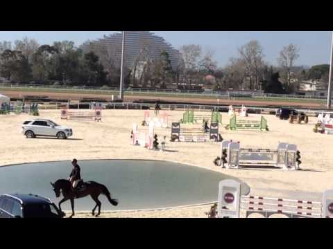 Ikato par Casall-Kannan 2008