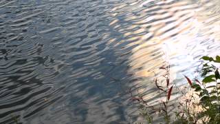 Guided Meditation to Manage Stress with Deepak Chopra