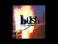 Bush – A Tendency To Start Fires