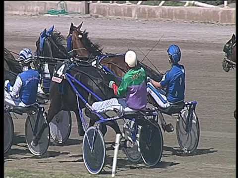 Trotto 29/04/2017 - 2ª corsa