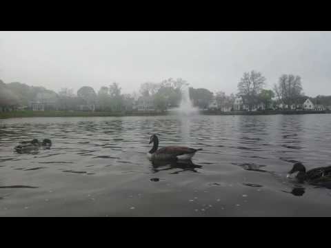 GS7 Flax pond Lynn MA