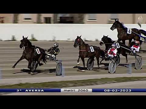 Aversa trotto 8 Febbraio 2023 - 3° Corsa