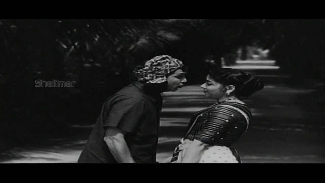 Prema Yatralaku Lyrics  | Gundamma Katha | A. Nageswararao, Akkineni Nageswara Rao, N.T.R, NTR, Savithri, Savitri | Chakrapani