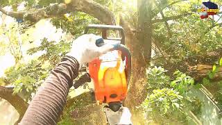 Download lagu DELEKADO SA NAGPAPAGASULINA MGA BULOK NA SANGA  mp3