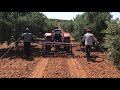 Zeytin veya Meyve Bahçelerinde Damlama borusunu sermek için yeni yöntem...