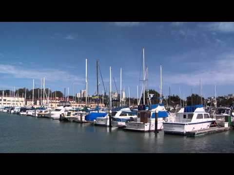 VIDA BOA QUEM PODE PODE QUEM NAO PODE SE SACODE