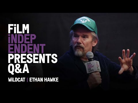 WILDCAT - Q&A