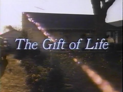 The Gift of Life (TV Movie - 1982) - Susan Dey as Surrogate Mother