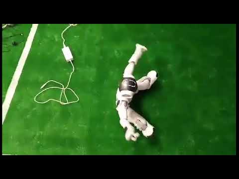 Starkit Team Qualification Video for Robocup 2019 (Sydney) Standard Platform League