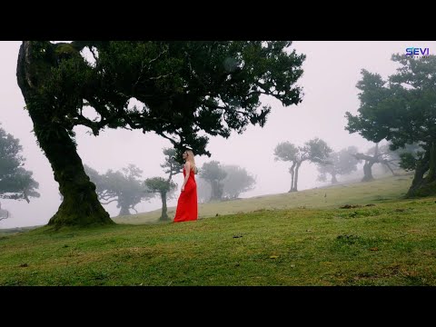 MADEIRA FOG - 4K - SEVI