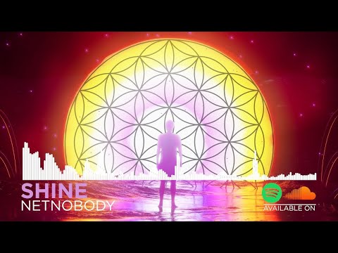 NetNobody "SHINE" - Prod Cashio + Konus (OFFICIAL)