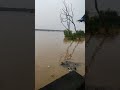 Kerala Newskerala Tirur Kuttipuram