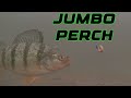 Video Thumbnail for Doing THIS Catches JUMBO Perch At -50 Temp! Locating Proper Holes