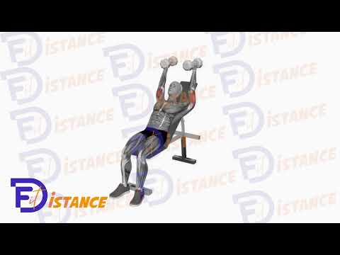 Extensions triceps avec haltères en position inclinée - Exercice Extensions triceps avec haltères en position inclinée en vidéo