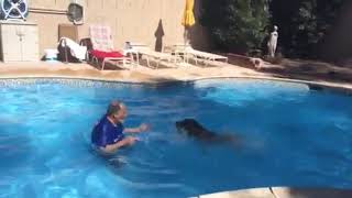 Teaching Apollo to swim